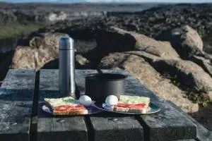 تغذیه در سفر