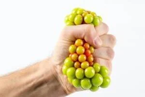 ورزش انگشتان دست