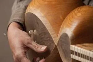تار و سه تار تفاوت