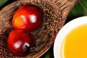 روغن پالم 