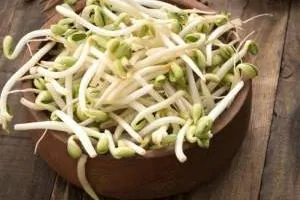 خواص جوانه تربچه