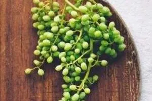 طرز تهیه آبغوره