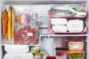فریز کردن خورشت