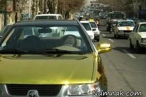 سمند طلایی