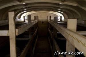 پناهگاه هسته ای