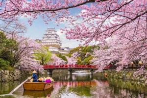 قیمت تور ژاپن در نوروز پیش رو چقدر است