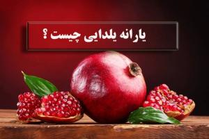 یارانه یلدایی