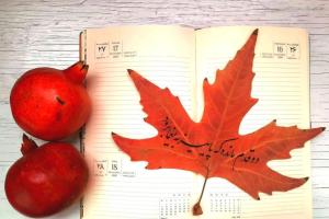 دو قدم مانده که پاییز به یغما برود