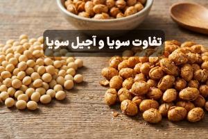 تفاوت سویا و آجیل سویا