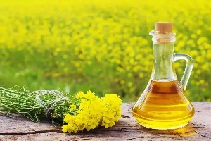 خواص روغن خردل