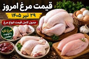 قیمت مرغ
