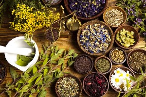 گیاهان دارویی