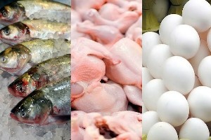 قیمت مرغ، ماهی و تخم مرغ