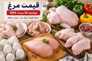 قیمت مرغ