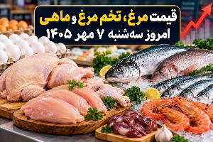 قیمت مرغ