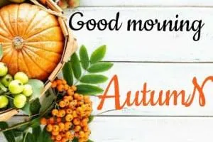 صبح بخیر به انگلیسی
