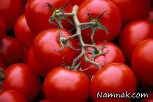 درخت گوجه فرنگی