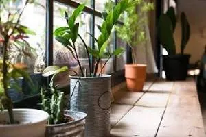 تصفیه هوای خانه