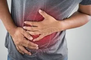 دستگاه سیستم گوارش