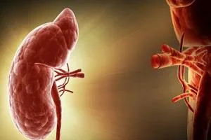 اولین پیوند کلیه