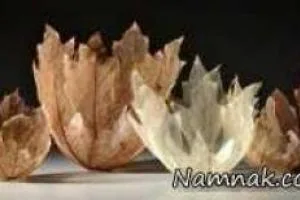 کاسه هایی از جنس برگ درختان