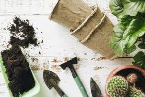 روشهای تعویض گلدان