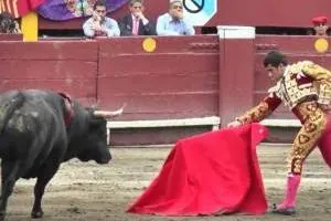 رنگ قرمز برای گاو