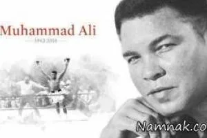 محمد علی کلی