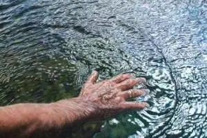 دقیق ترین نقاشی ها