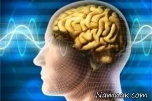 تومور مغزی