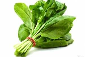 اسفناج