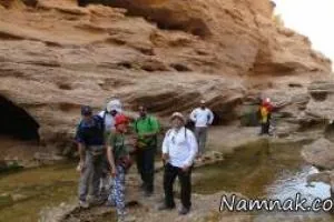 کال جنی