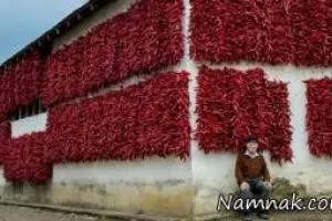 روستایی با طعم فلفل