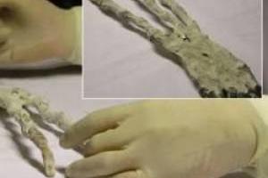 موجود فضایی