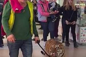 ببر وحشتناک