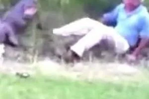 حمله تمساح