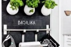 دیزاین دیوارهای کوچک