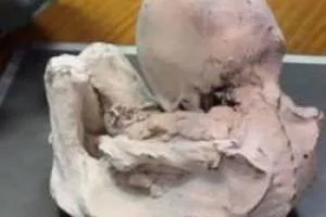 موجود فرازمینی