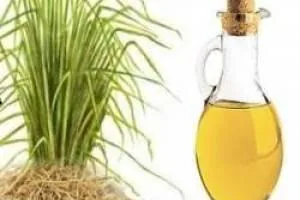 روغن وتیور