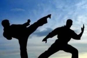 نمایش رزمی کار