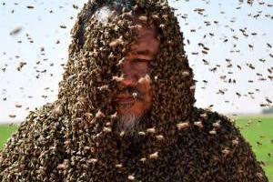 رکورد پوشش زنبور عسل