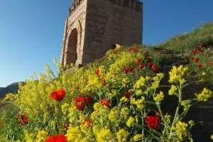 قلعه ضحاک