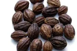هلیله سیاه
