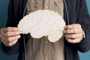 حقایق مغز
