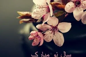 متن جای خالی عزیزان