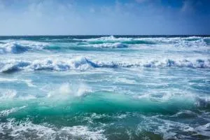روز جهانی اقیانوس ها