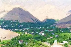 روستای برگ جهان