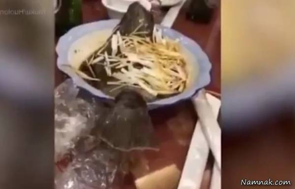 Live fish in a Chinese restaurant