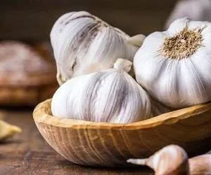 خواص سیر