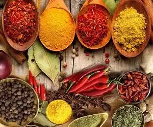 داروهای گیاهی